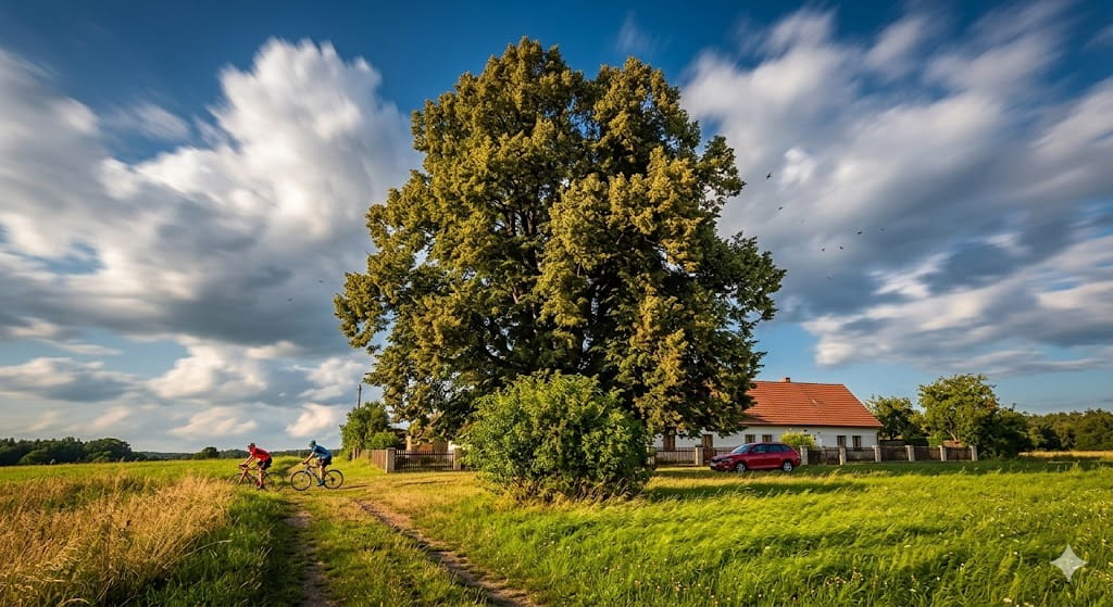 Klokočovská lípa